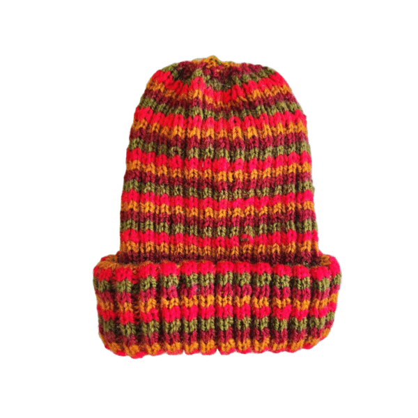Four Colour Stripes Beanie